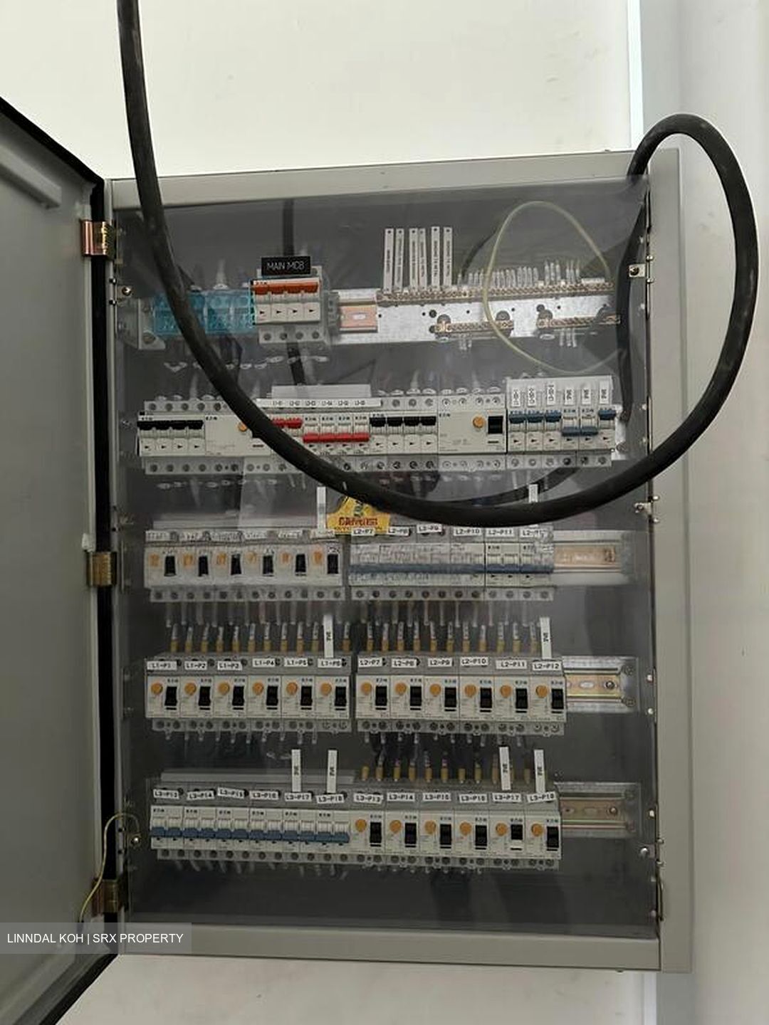 Primax (D19), Factory #488250951